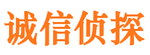 茄子河市私家侦探